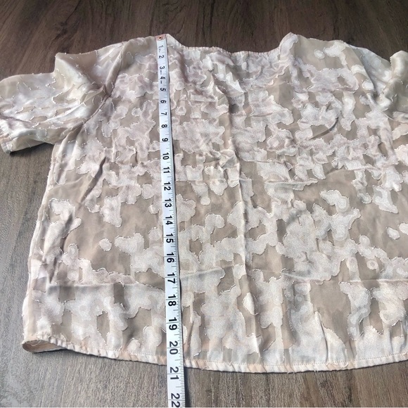 Aritzia Babaton T Shirt Size M Nude Metallic Burnout Sheer Cropped Contemporary - Picture 4 of 7